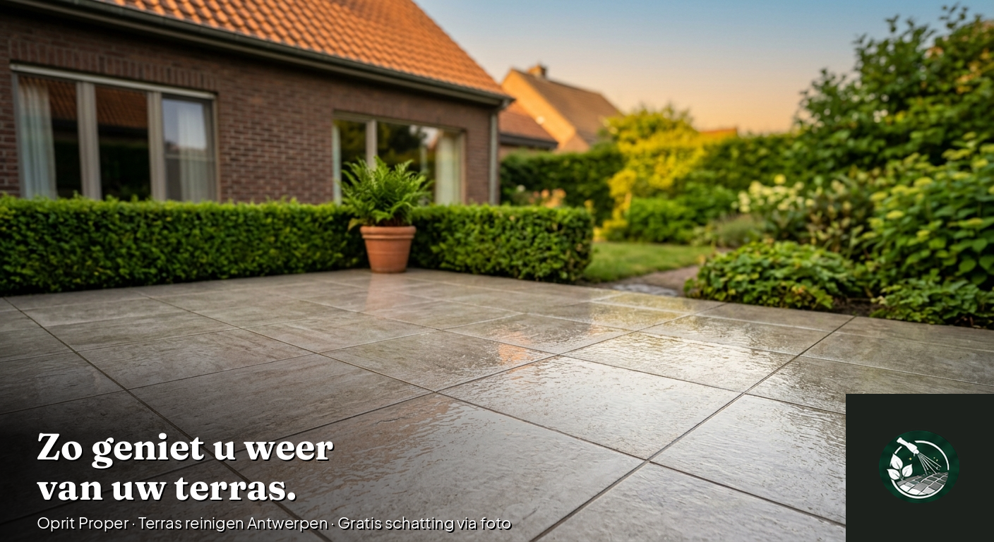 Terras reinigen Antwerpen — resultaat — Oprit Proper